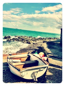 a boat at the bottom of the garden