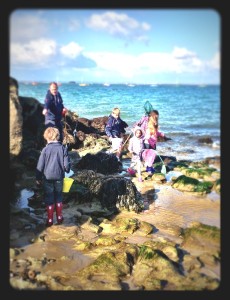 crabbing in the Isle of Wight