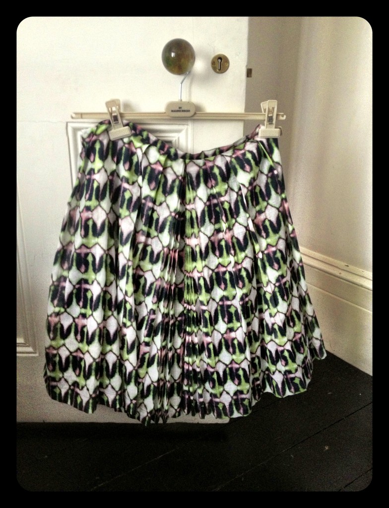 stunningly wide 50s skirt