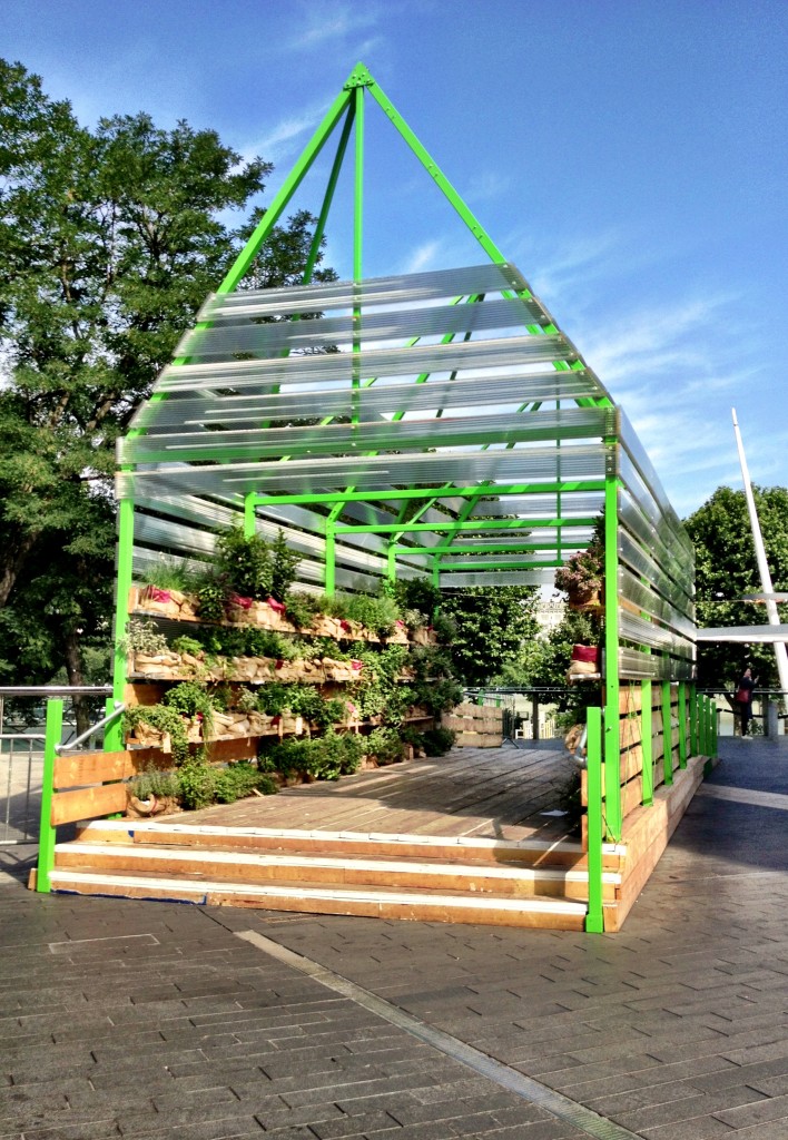 a greenhouse full of herbs