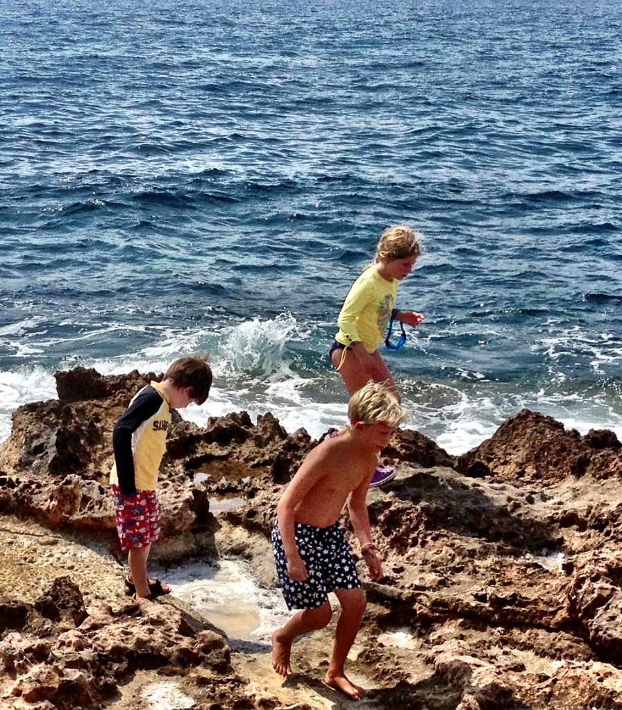The Smalls and Mini's blonde play on the rocks before lunch
