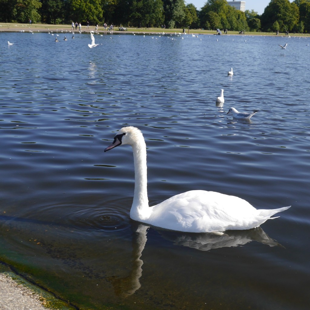 It was only 9am so it was beautifully calm, despite the amazing weather