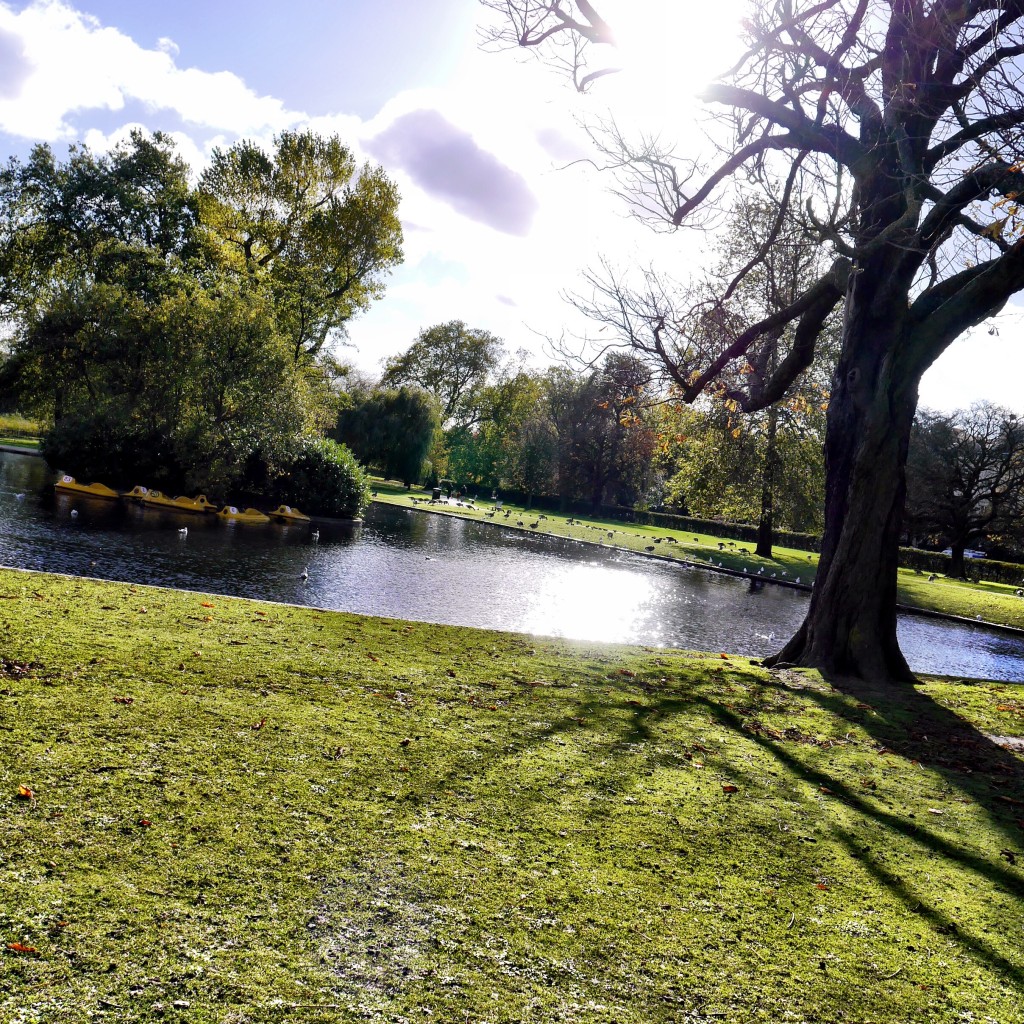 Regents Park walk