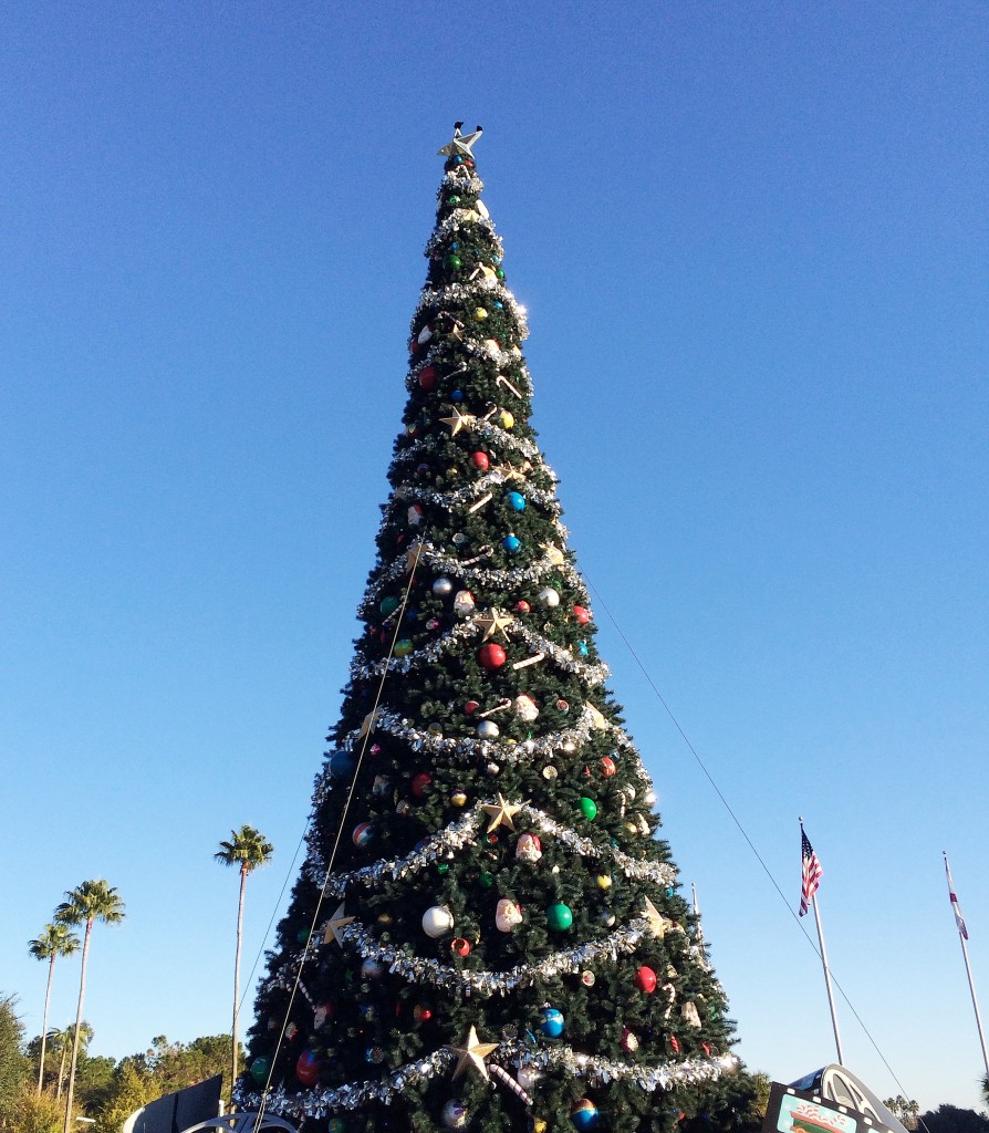 the Christmas tree outside Hollywood Studios