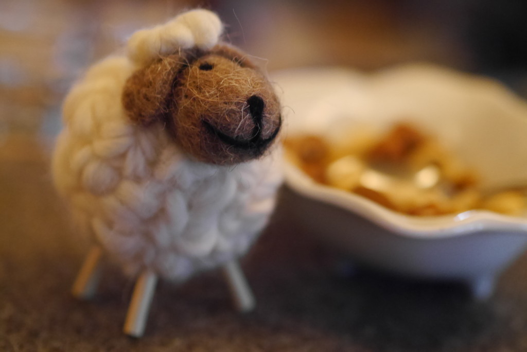 an Austrian nut-eating sheep (more of which in later post)