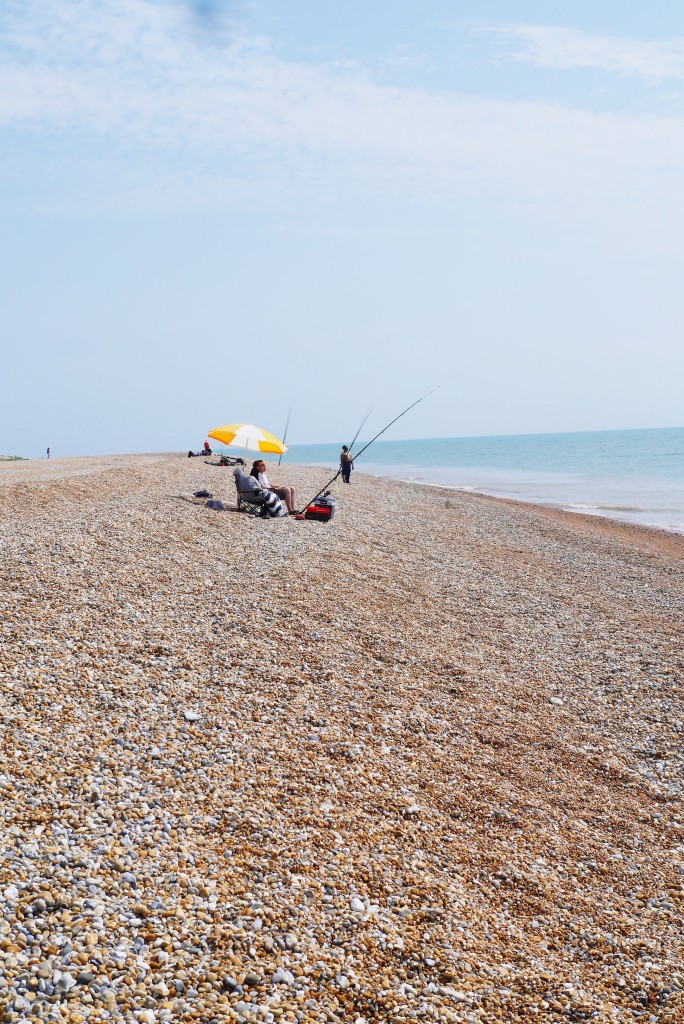 Dungeness 