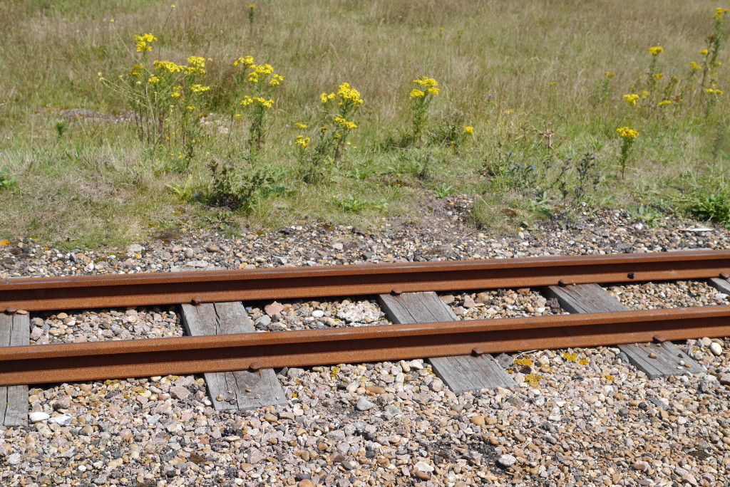 1920s steam railway Dungeness