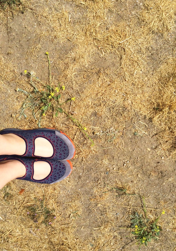 geek shoes on carmel valley ranch