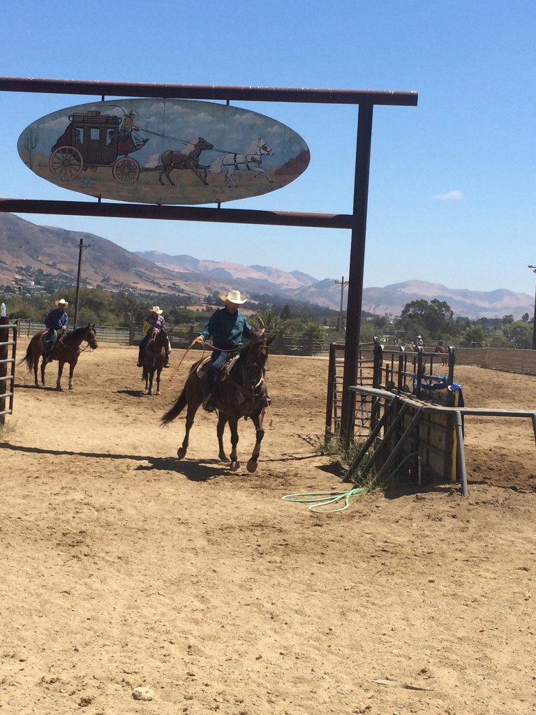 cowboy roping competition at Madonna Inn