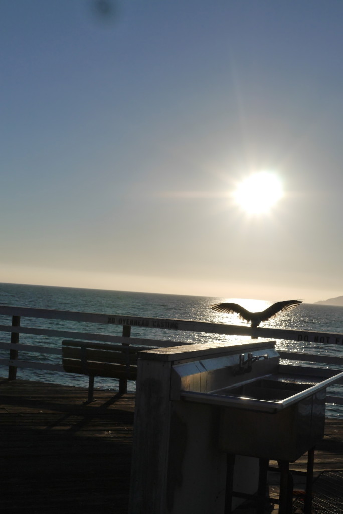 pismo beach pier