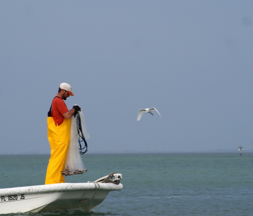 fishermen at marina max