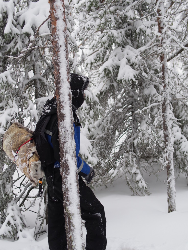 Brandon Lodge, Lulea, Sweden