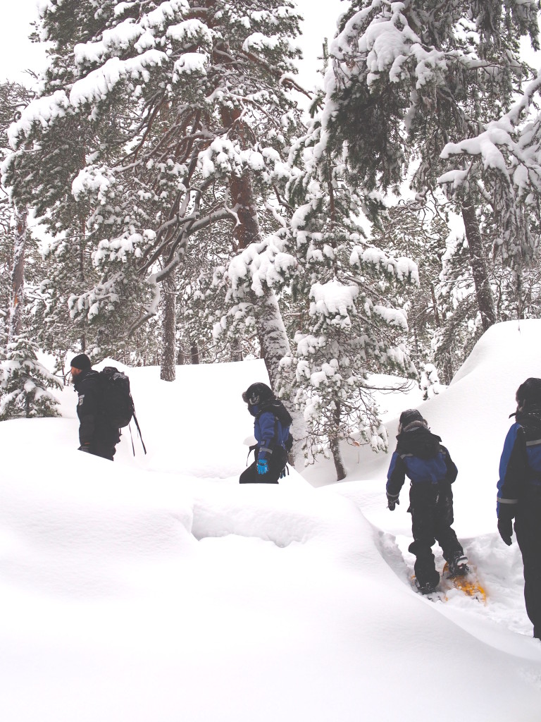 Brandon Lodge, Lulea, Sweden