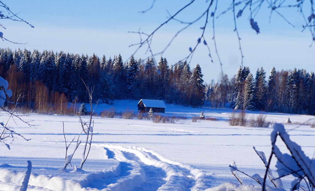 Brandon Lodge Lulea Sweden